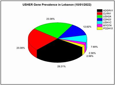 Novel Missense and Splice Site Mutations in USH2A, CDH23, PCDH15, and ADGRV1 Are Associated With Usher Syndrome in Lebanon